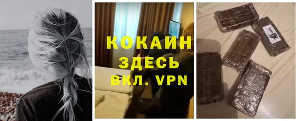 хмурый Аркадак