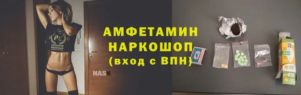 хмурый Аркадак