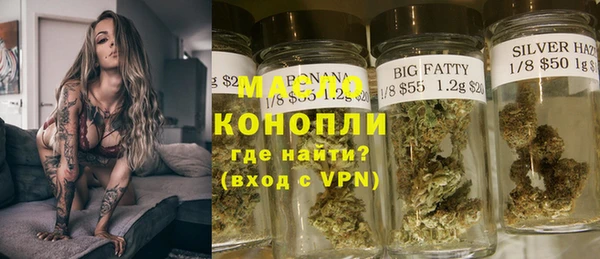 хмурый Аркадак