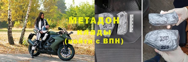 хмурый Аркадак