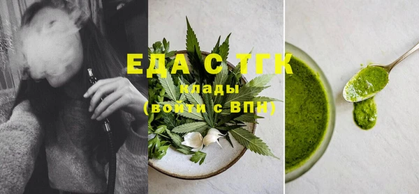 хмурый Аркадак