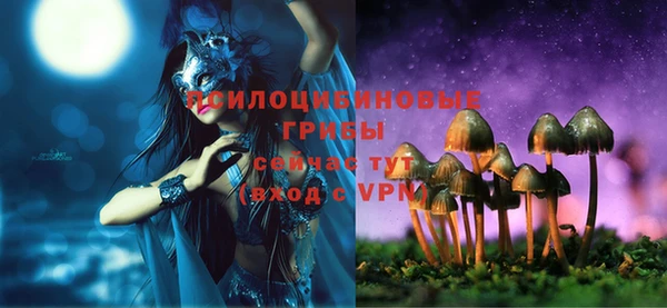 эйфоретик Армянск