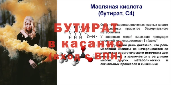хмурый Аркадак