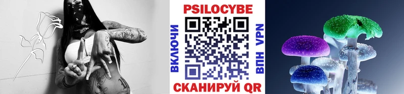 кракен вход  Стародуб  Псилоцибиновые грибы Magic Shrooms 
